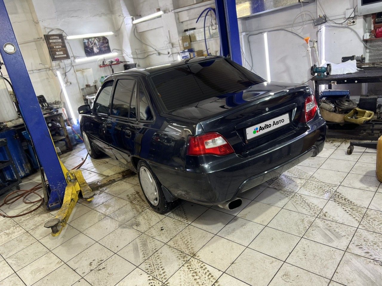 Daewoo Nexia: фото владельца