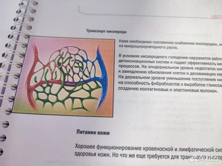 Аdvancеd Skin Аnаlysis (Барретт-Хилл Ф)