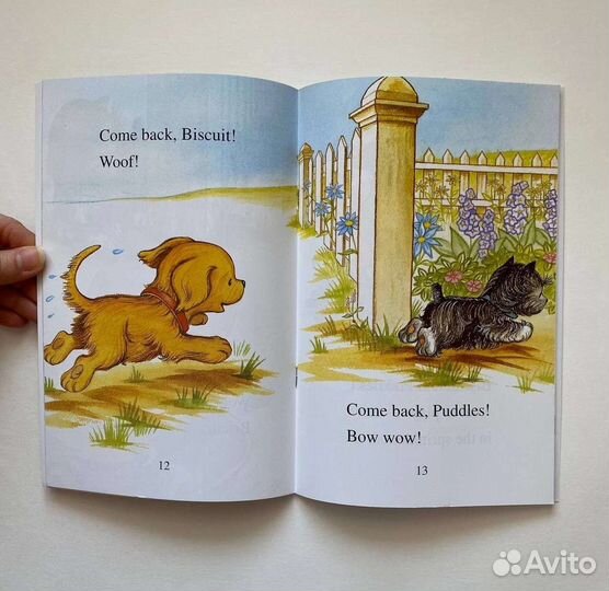 Новые книги для детей на английском Biscuit