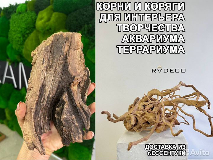 Коряги и корни для творчества и интерьера