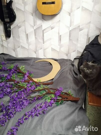 Декорации для фотостудии