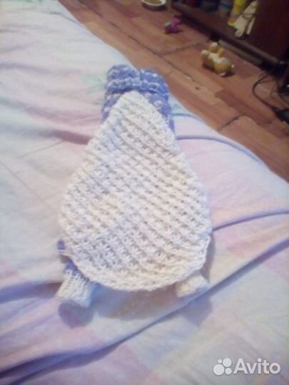 Одежда для той-терьеров