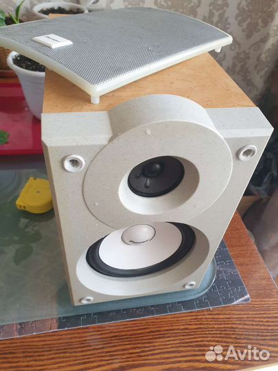 Pioneer S-L5V