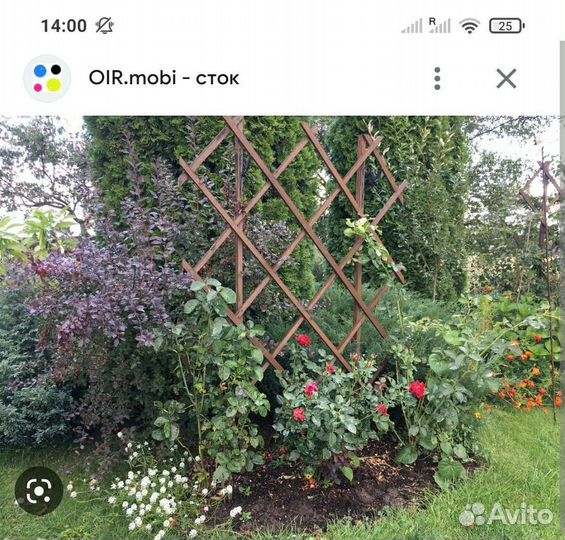 Шпалера садовая