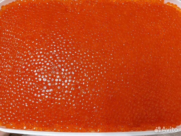 Красная икра 2023