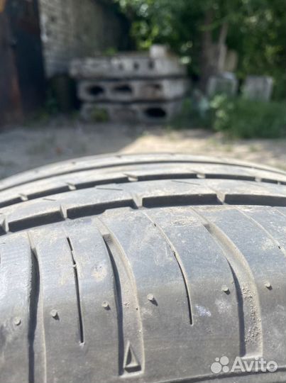 Maxxis Premitra HP5 205/55 R16 91V