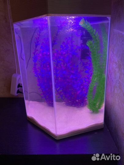 Аквариум 70 литров