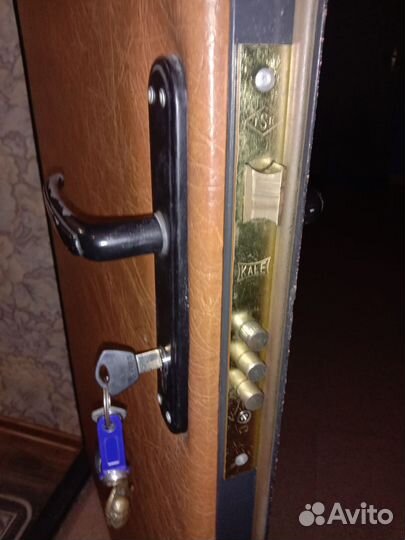 Дверь входная металлическая