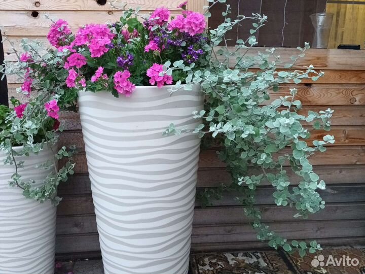 Цветочная композиция