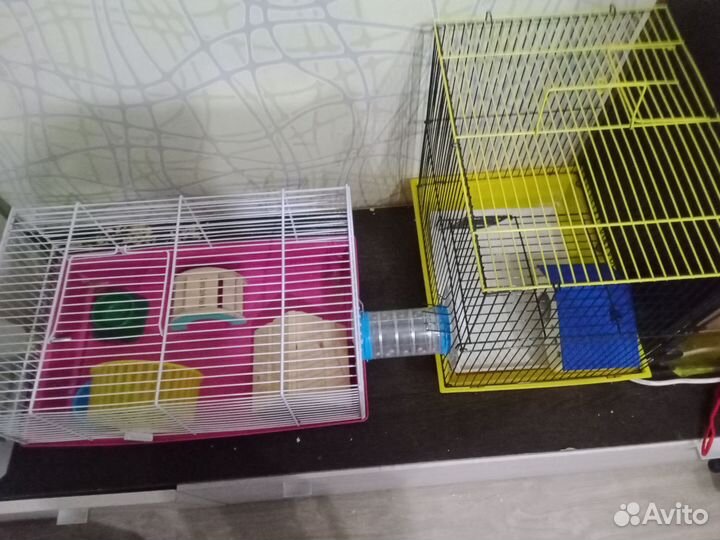 2 Клетки для грызунов