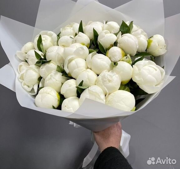 Пионы Букеты Цветы