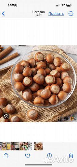 Орех фундук