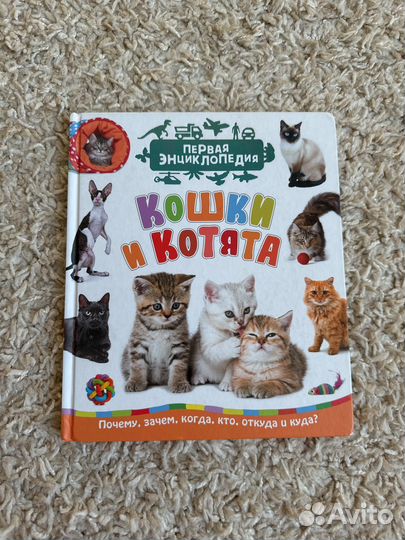 Первая энциклопедия Кошки и котята