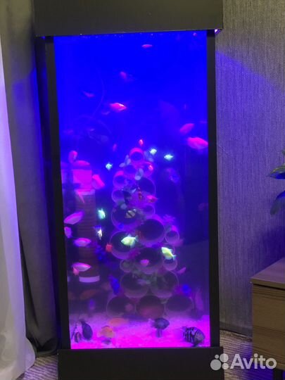 Аквариум с оборудованием и рыбками