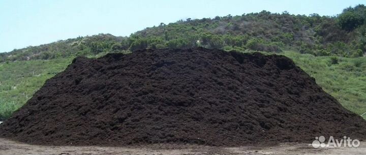 Земля чернозем