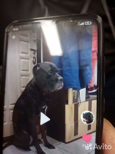 Витые алюминиевые карнизы для штор