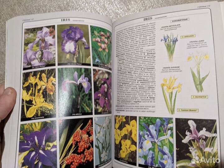 Книга Все о цветах в вашем саду Д.Г. Хессайон