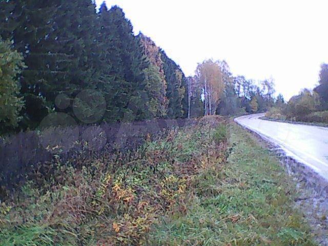 Участок 50 сот. (ИЖС)