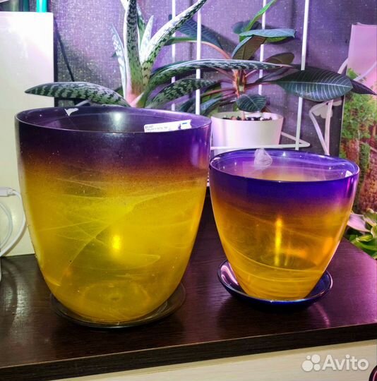 Горшок для цветы стекло