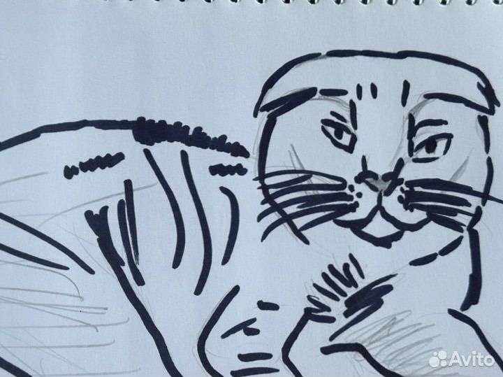 Рисую ваших питомцев