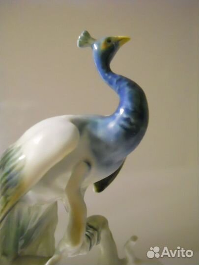 Alka Kunst (Kaiser) королевский павлин (Германия)