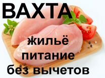 Оператор производственной линии Жильё питание