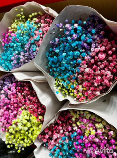 Пышная Гипсофила оптом