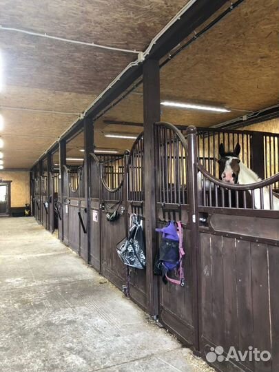 Постой лошадей