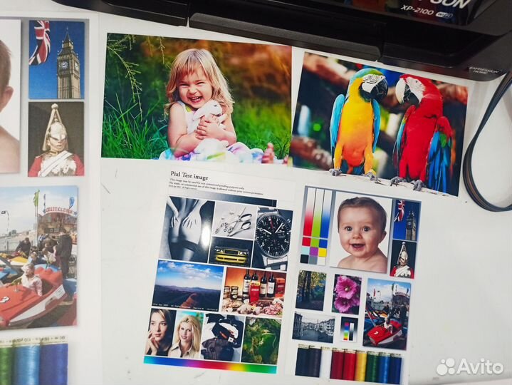 Мфу Epson XP2100 с WiFi и снпч