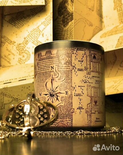 Кружка хамелеон (проявляется картинка) Гарри П