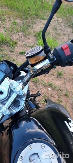 Stels Flex 250