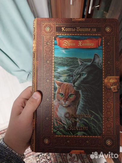 Книги коты воители