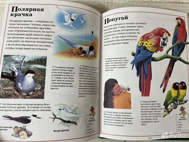 Энциклопедия для детей. Всё о животных. 2003 г