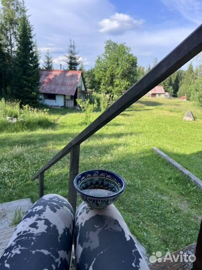 База отдыха в лесу