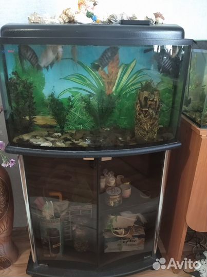 Аквариум с тумбой, рыбками