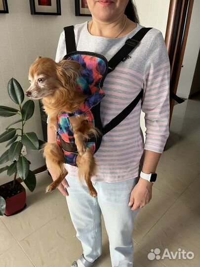 Рюкзак для носки маленьких собак