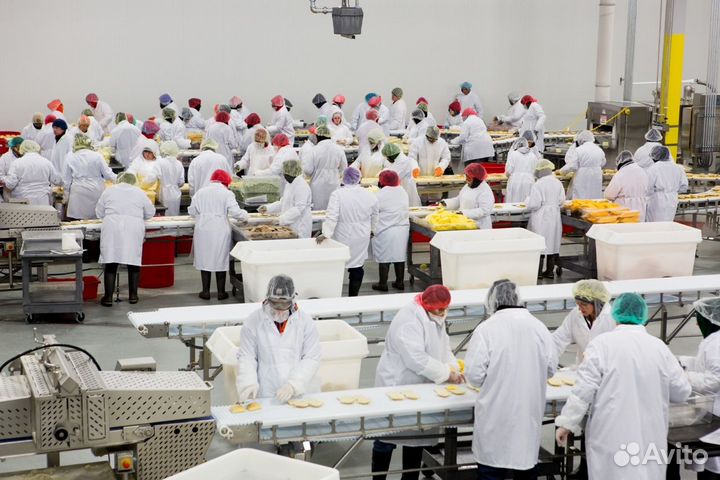 Оператор линни, без опыта, жилье питание бесплатно