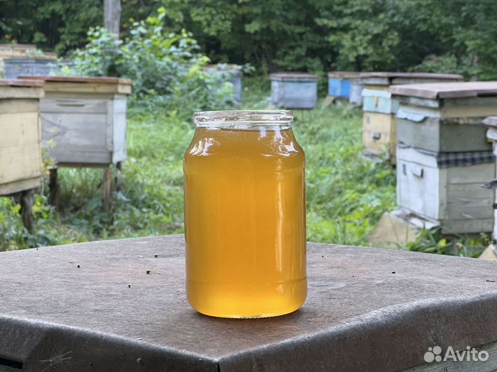 Мед липовый оптом