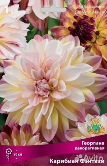 Георгины зеленые черенки