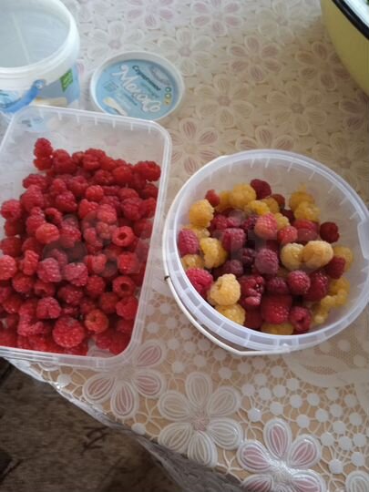 Дача 25 м² на участке 6 сот.