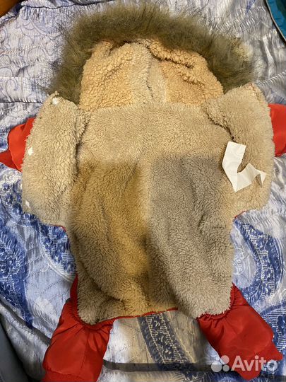 Одежда для собак мелких пород зима