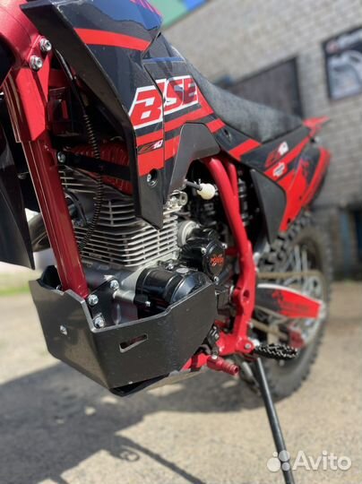 BSE Z10 2023