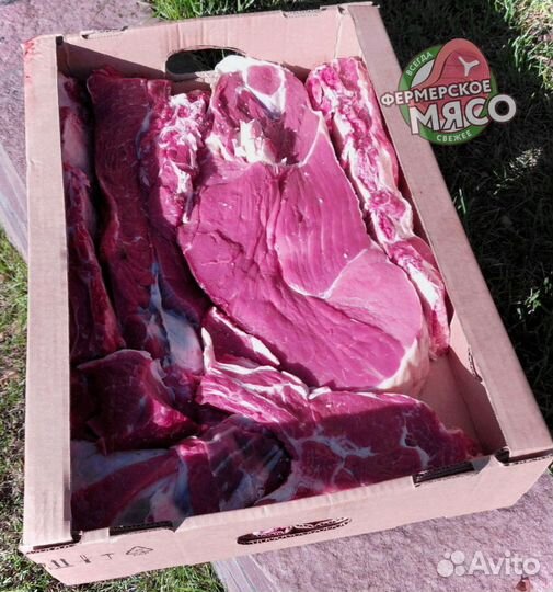 Мясо говядина