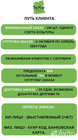 Продажа привитых саженцев яблони на подвое М9