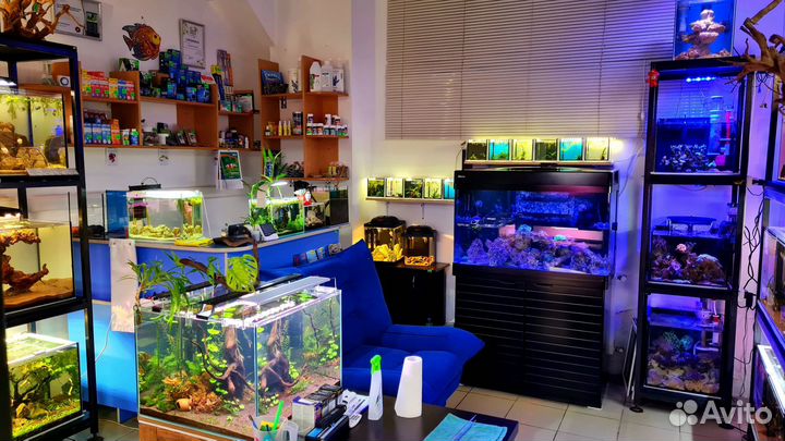 Студия Аквариумистики 