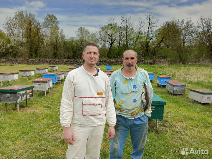 Мед майский акациевый, липовый