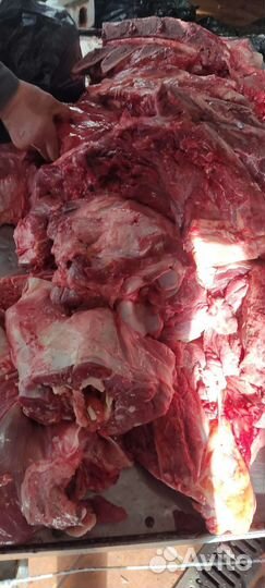 Мясо говядина для собак