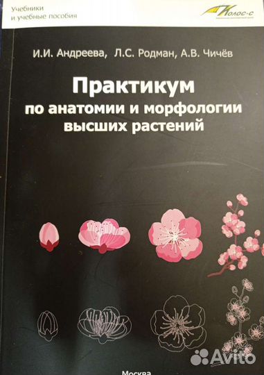Практикум по анатомии и морфологии высших растений