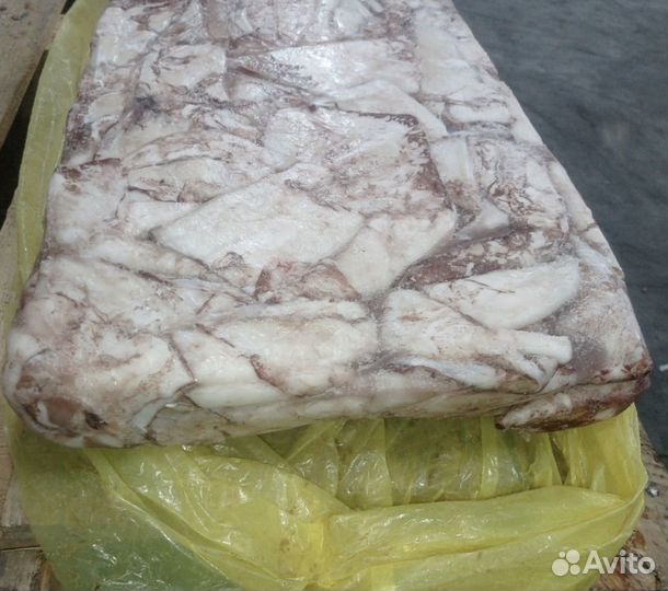 Кальмар командорский тушка св.м