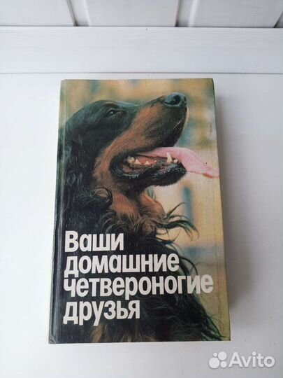 Ваши домашние четвероногие друзья